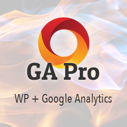 [ GA Pro: WordPress + Google Analytics ]
